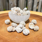 Shop Raw Desert Rose Selenite - Small Selenite Rose Cluster - Natural Selenite Crystal - Healing Crystals & Stones - Rough Gypsum Desert Rose Cluster at Magic Crystals. www.magiccrystals.com Sand Rose, Selenite Rose or Gypsum Rose, or gypsum rosettes. It is a form of gypsum when sand particles become embedded in it.