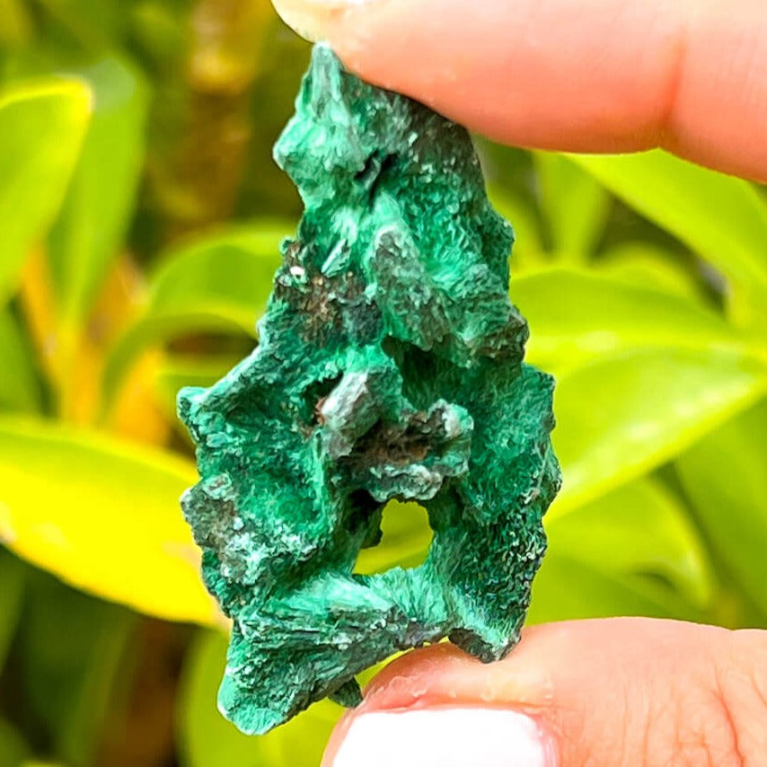 Buy Fibrous Malachite Specimen - Malachite from Congo, Raw Fibrous Malachite Mineral Specimen, Velvet Malachite from Magic Crystals. African malachite, African crystal, raw malachite, fibrous malachite, healing stone, raw crystal, healing crystal, green crystal, Earth. Malachite is known as a protection stone.
