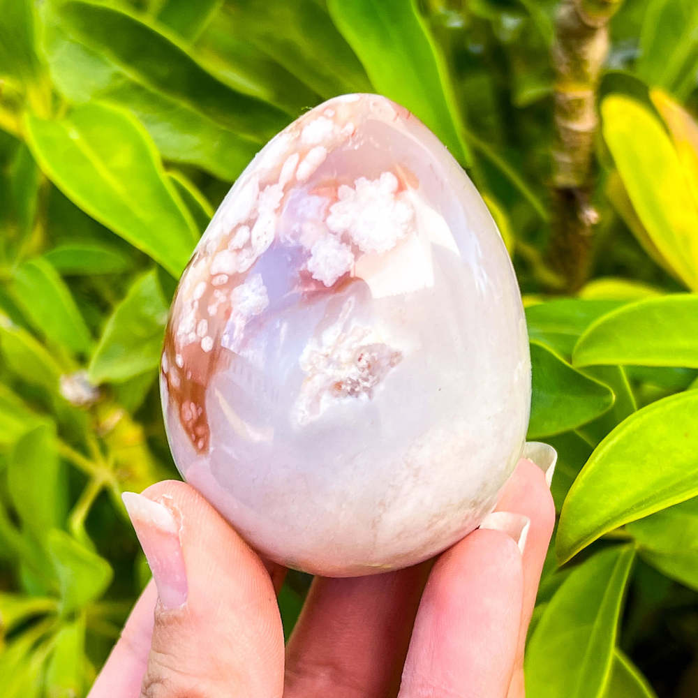 Looking for Flower Agate Egg/ Flower agate sphere/ Agate flower Egg/ Cherry Blossom Agate point? shop at Magic Crystals for Flower Agate Egg with FREE SHIPPING available. Flower agate can be used to re-bloom the feminine side of all persons. GEMSTONE Obelisks. High quality crystals.    Flower-Agate-Egg-Sphere-B