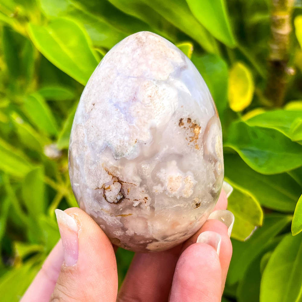 Looking for Flower Agate Egg/ Flower agate sphere/ Agate flower Egg/ Cherry Blossom Agate point? shop at Magic Crystals for Flower Agate Egg with FREE SHIPPING available. Flower agate can be used to re-bloom the feminine side of all persons. GEMSTONE Obelisks. High quality crystals.    Flower-Agate-Egg-Sphere-c