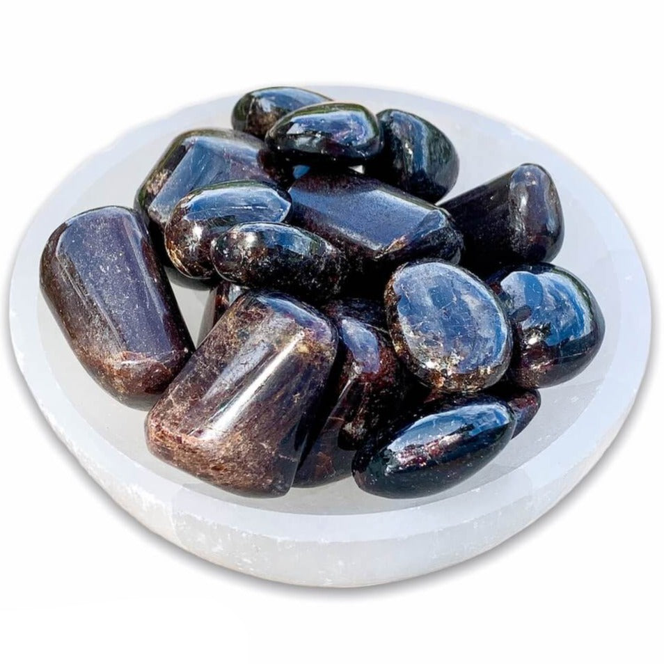 Looking for Garnet Tumbled stone? Shop at Magic Crystals for Garnet TUMBLED Large, TUMBLED Garnet, Root Chakra, and Base Chakra. Garnet is perfect for Protection, Reiki and Energy Healing. FREE SHIPPING avaialble. Garnet cleanses and re-charges the chakras.