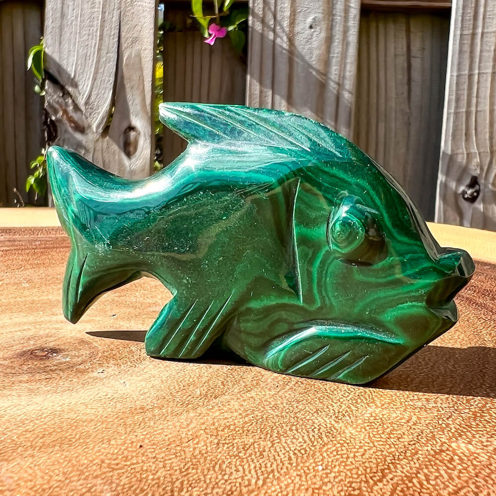 Genuine Malachite. Shop at Magic Crystals for Small Genuine Malachite Fish - A  - Natural Malachite Fish Carving from Congo. Malachite Animal, Gifts for Her, Gifts for Him, Crystal Gemstones, Home Decor. FREE SHIPPING AVAILABLE. Hand Carved Malachite Stone Fish, Home Decor, Crystal Healing, Mineral Specimen #1.