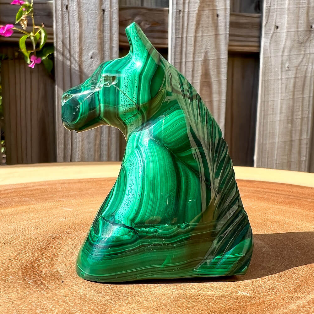 Genuine Malachite. Shop at Magic Crystals for Small Genuine Malachite Horse - Natural Malachite Horse Carving from Congo. Malachite Animal, Gifts for Her, Gifts for Him, Crystal Gemstones, Home Decor. FREE SHIPPING AVAILABLE. Hand Carved Malachite Stone Horse, Home Decor, Crystal Healing, Mineral Specimen #1.