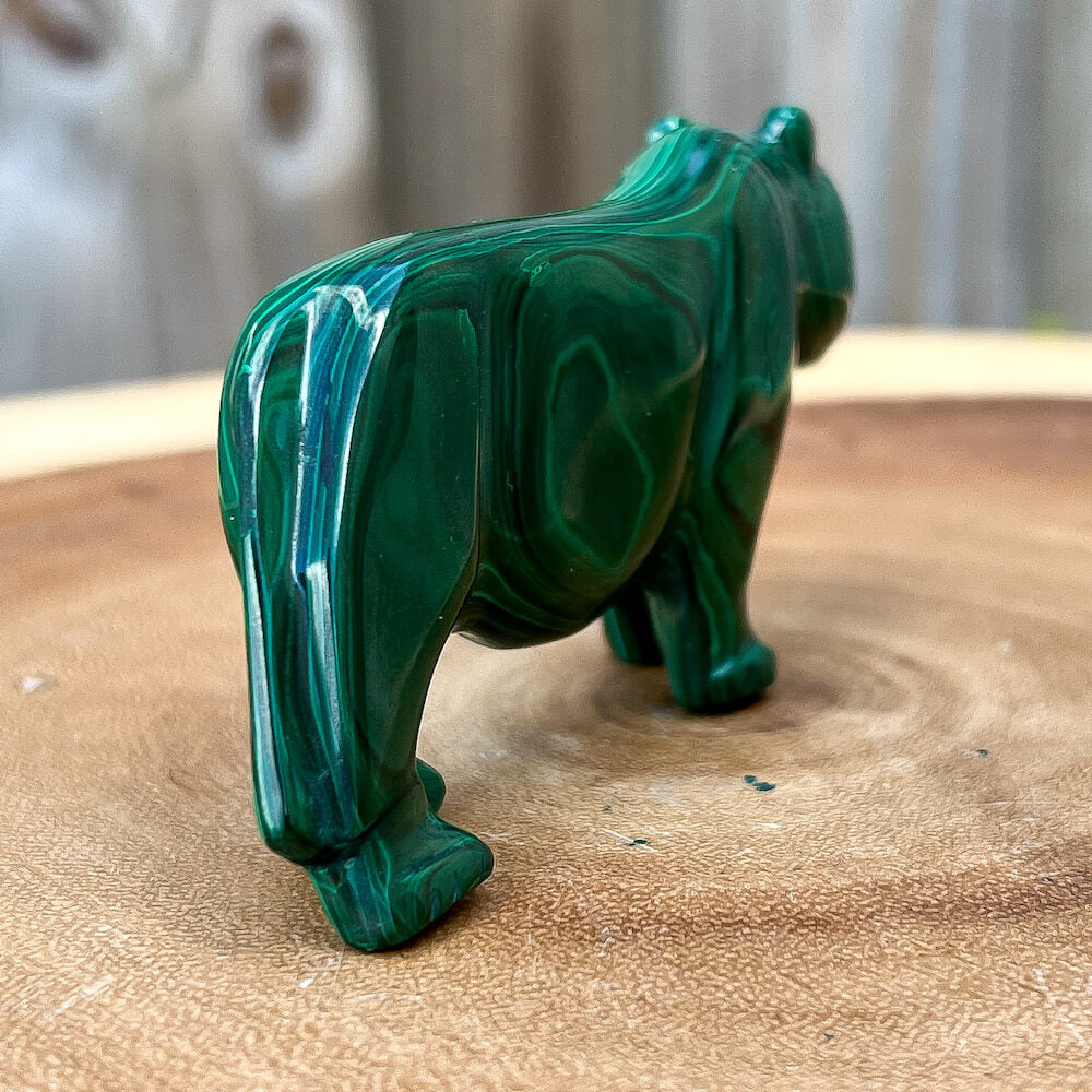 Genuine Malachite. Shop at Magic Crystals for Small Genuine Malachite Leopard Leopard #A - Natural Malachite Leopard Carving from Congo. Malachite Animal, Gifts for Her, Gifts for Him, Crystal Gemstones, Home Decor. FREE SHIPPING AVAILABLE. Hand Carved Malachite Stone Cougar Leopard, Home Decor, Crystal Healing.