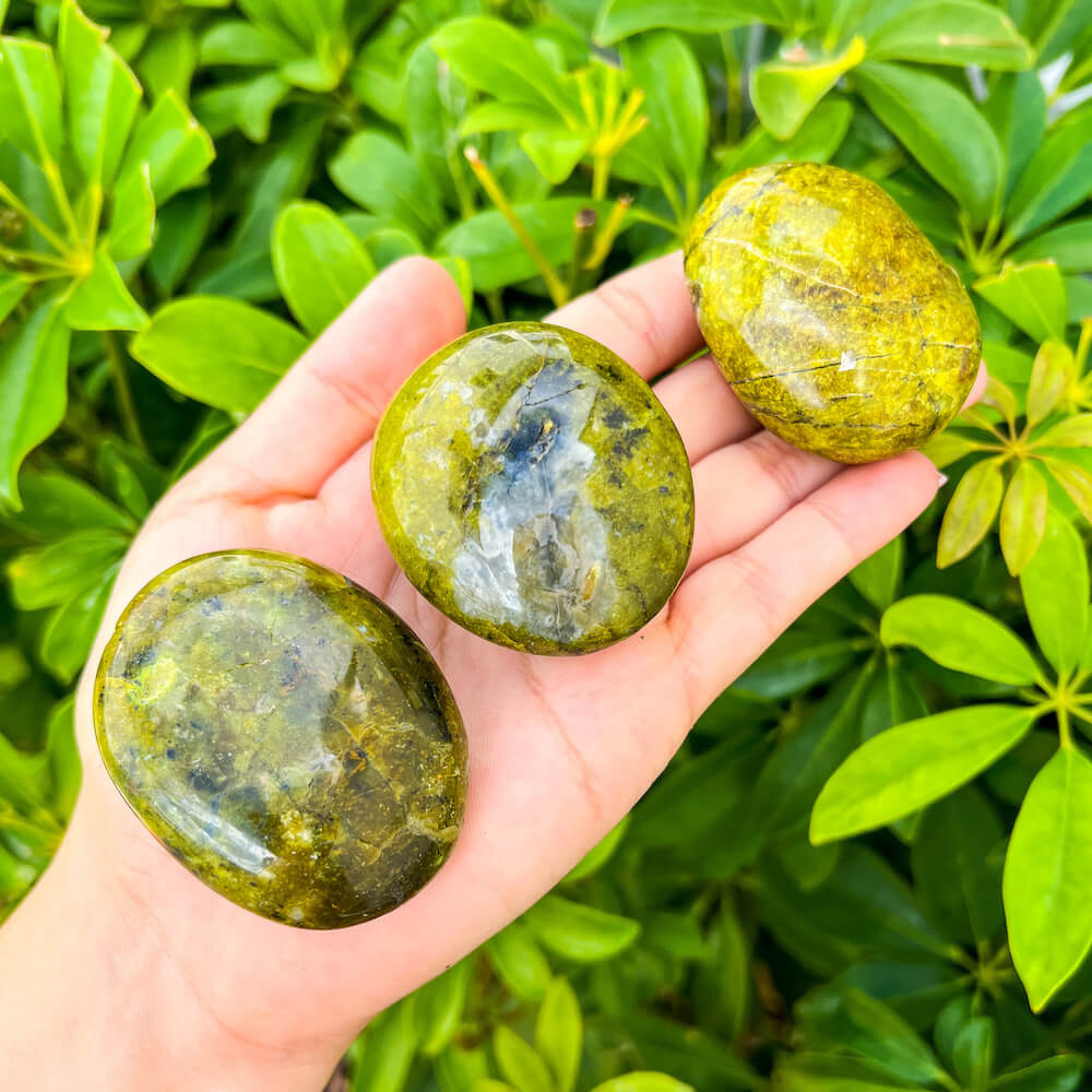Looking for Crystal Palm Puffy Stone? Shop for Worry Stone, Crystals and palm Stones, Pocket Stone, Natural, Polished at Magic crystals. FREE SHIPPING available. They can also be easily transported or even carried with you as you go about your day. Green-Opal-Crystal-Palm-Stone