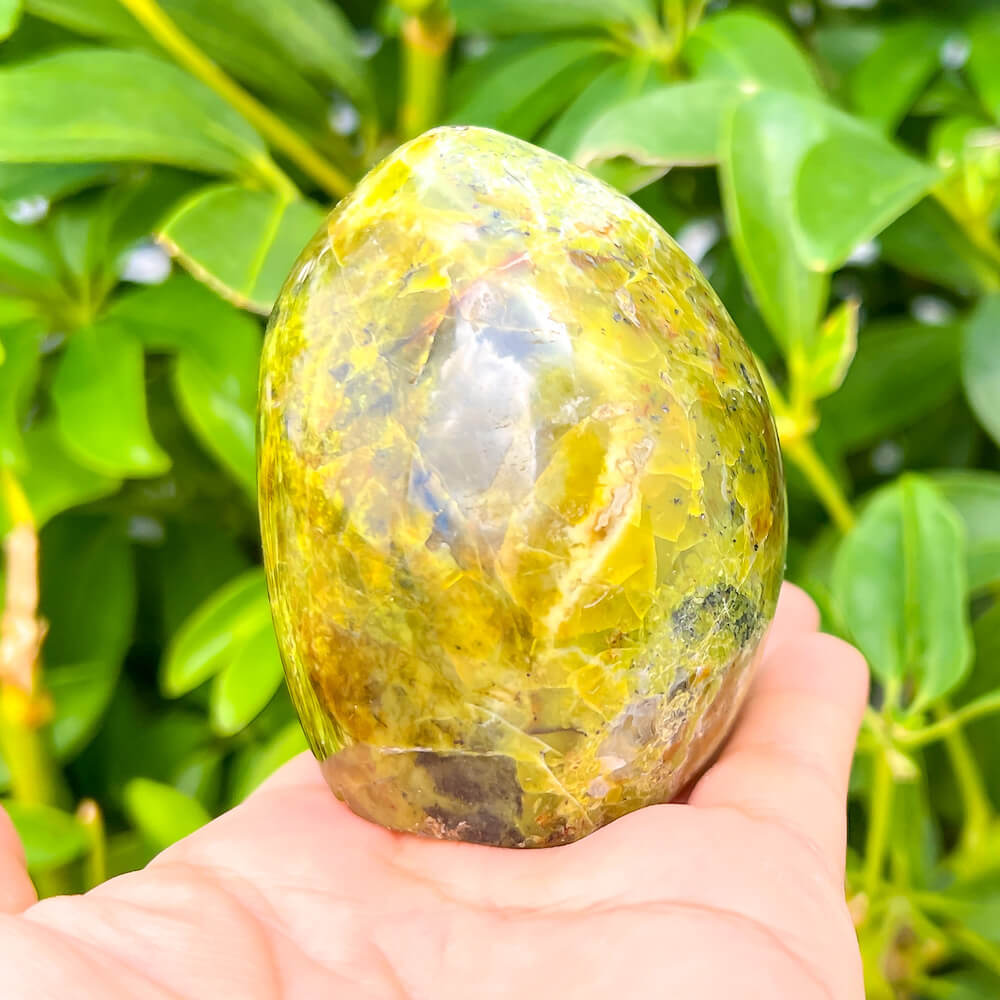 Buy Green Opal Freeform from Madagascar - Green Opal  - Green Opal stone quartz - healing crystals and stones when you shop at Magic crystals. Green Polished Stone with FREE SHIPPING. Green Opal Green Opal is a  calming and soothing crystal known for its cleansing and re-energizing properties. 