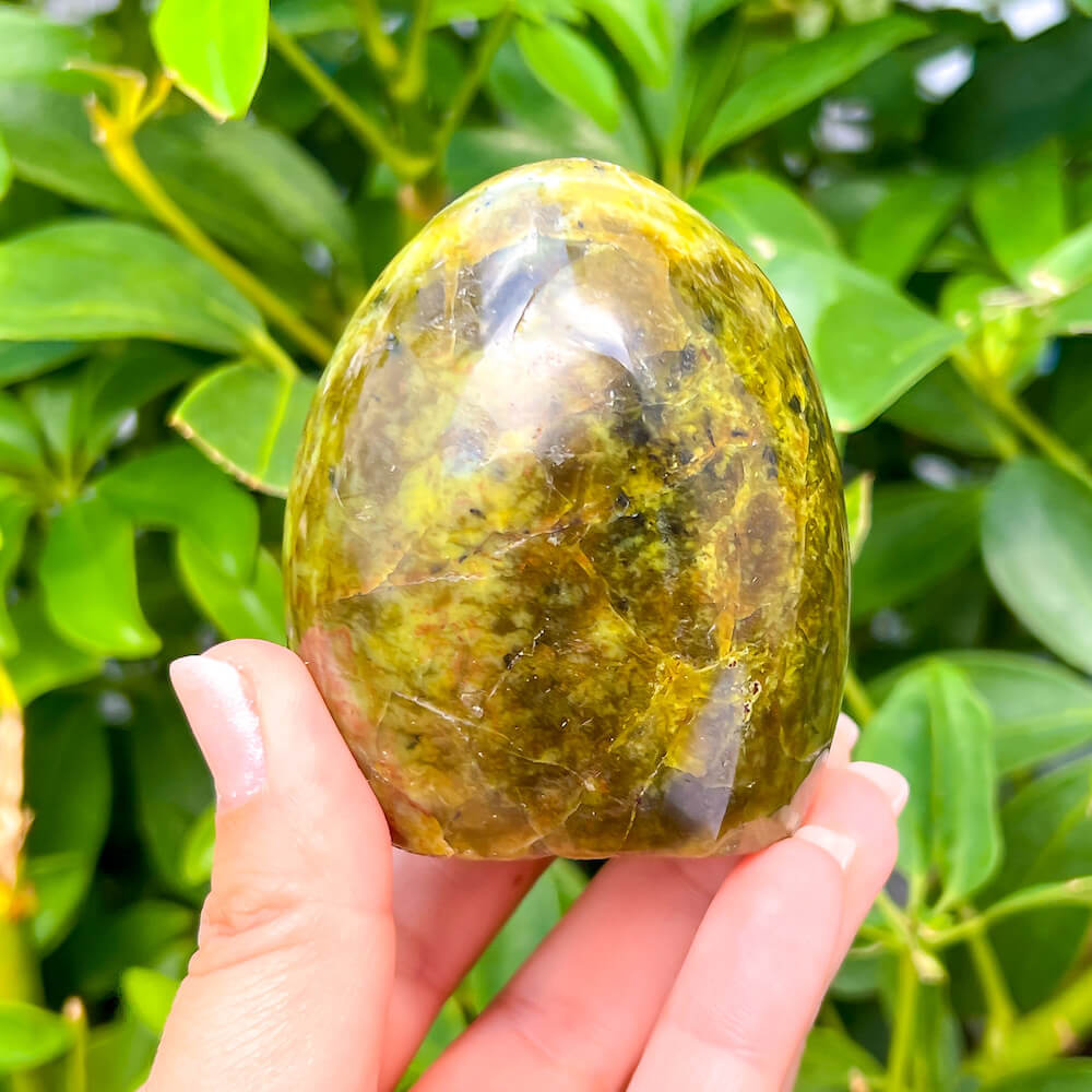 Buy Green Opal HeaFreeform from Madagascar - Green Opal  - Green Opal stone quartz - healing crystals and stones when you shop at Magic crystals. Green Polished Stone with FREE SHIPPING. Green Opal Green Opal is a  calming and soothing crystal known for its cleansing and re-energizing properties. 