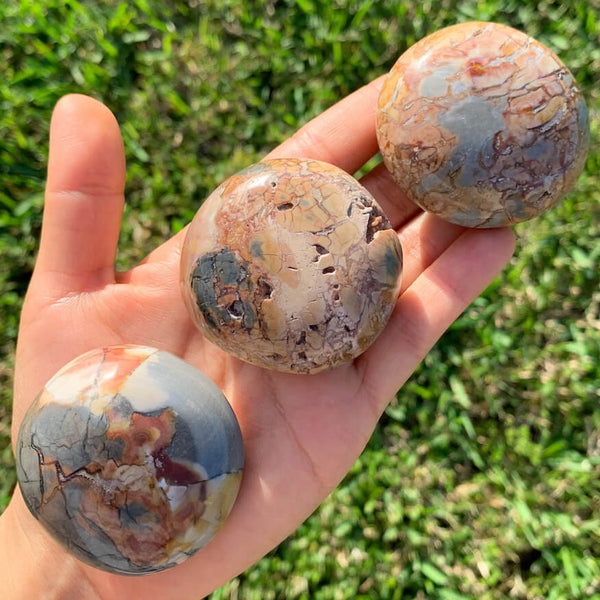 Ibis Jasper Palm Stone for Strength & Balance | Magic Crystals