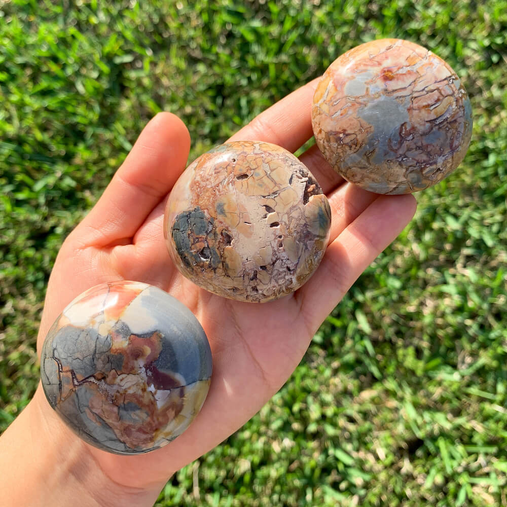 Looking for Ibis Jasper? Shop at Magic Crystals from Madagascan Ibis Jasper Palm Stones, Ibis Jasper, Colorful Ibis, Madagascar Ibis and Crystal Palm Stones. FREE SHIPPING available. Jasper disc form Polychrome Jasper. Ibis Jasper • Colorful Ibis • Madagascar Ibis • Crystal Palm Stones.