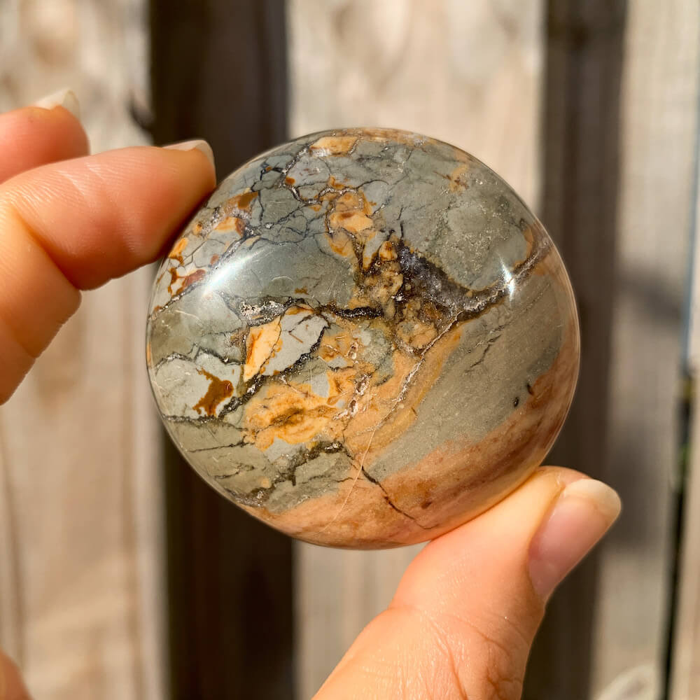 Ibis Jasper Palm Stone for Strength & Balance | Magic Crystals