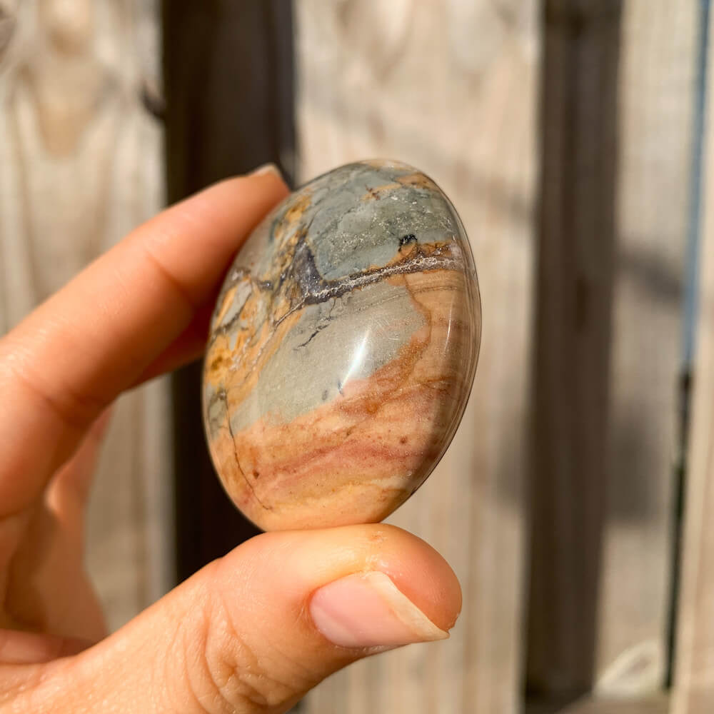 Ibis Jasper Palm Stone for Strength & Balance | Magic Crystals