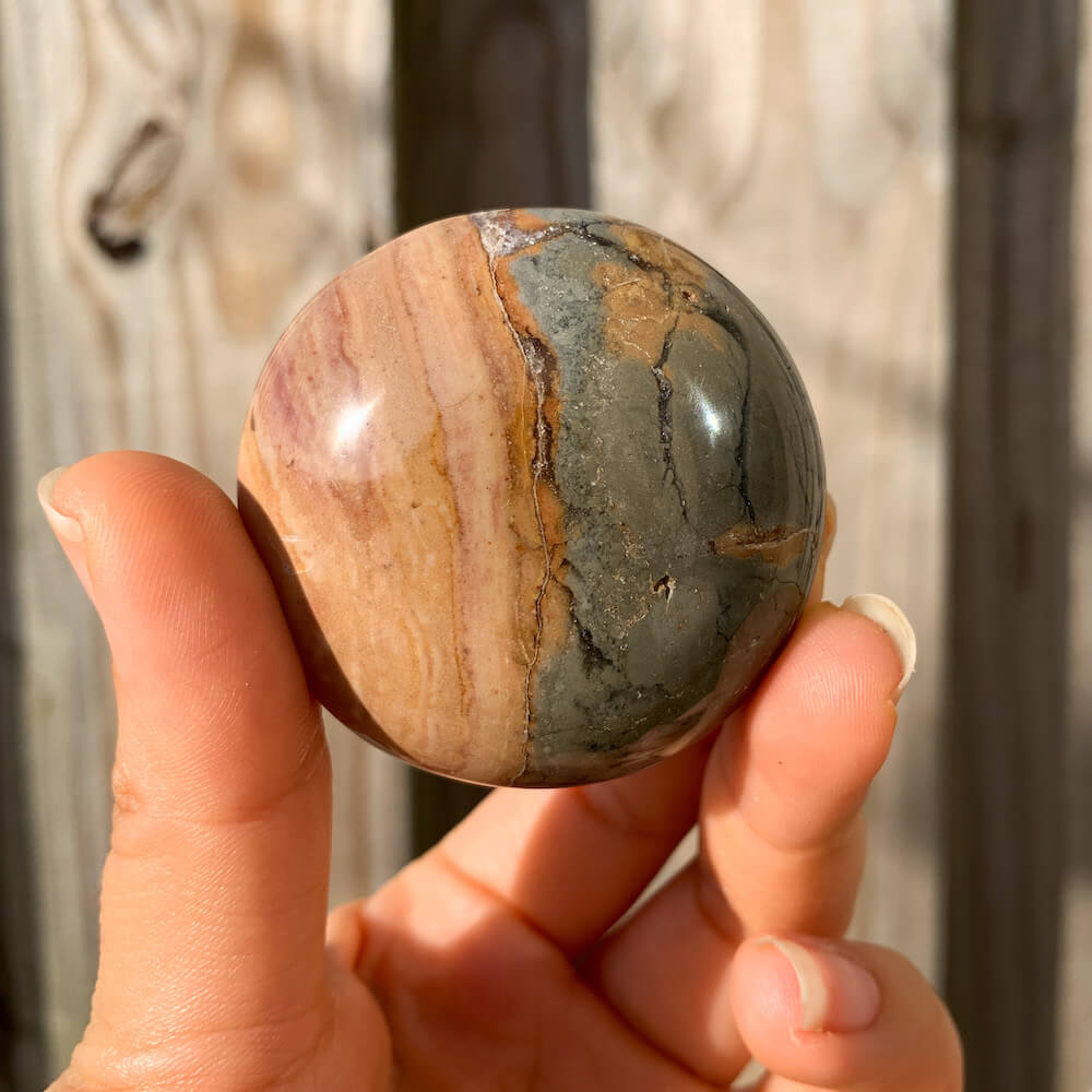 Ibis Jasper Palm Stone for Strength & Balance | Magic Crystals