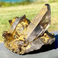 Shop for Imperial Gold Aura Quartz crystal cluster, Healing Reiki energy blessed jewel for Solar Plexus and Heart chakras, Gold Aura Quartz, Melon Aura at Magic Crystals. Magiccrystals.com increases one’s self-worth and personal power by raising one’s vibrations to those of empowerment and joy. FREE SHIPPING available