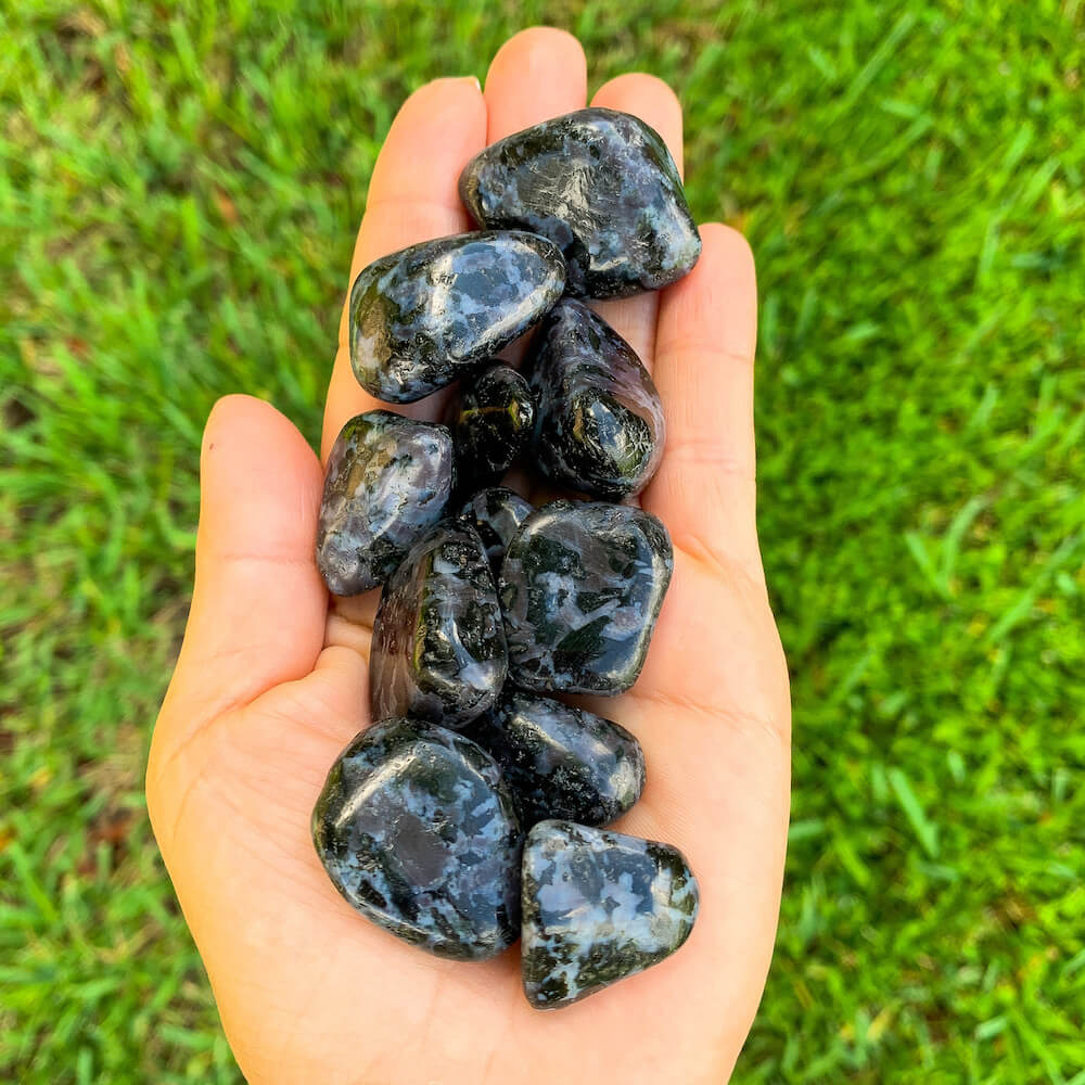Looking for Indigo Gabbro Tumbled Stone? Shop for Mystic Merlinite, Indigo Gabbro Tumbled Stones, Pocket Stone, Natural, Polished at Magic crystals. Mystic Merlinite is one of the newest meditation tools we all should have with us. FREE SHIPPING available. 