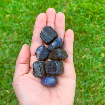 Buy Iolite Tumbled Stones, Iolite Polished Gemstone, Healing Stone, Bulk Crystals at Magic Crystals. Iolite is a motivational gemstone that helps you to organize your life path, achieve your goals and dreams through determination & focus, keeps you eager for success in life, and will help you to better manage your financial life. 