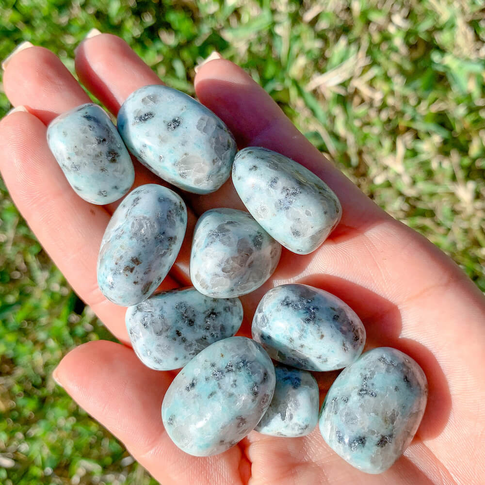 Buy Sesame Seed Stone - Kiwi Jasper Tumbled Gemstone | Bulk Crystals at Magic Crystals. Kiwi stone is a nurturing and soothing stone. FREE SHIPPING  Zodiac Stones Pouch, Star Sign tumbled stones, Zodiac Crystal Gift, Constellation Gift, Gift for Friends, Gift for sister, Gift for Crystals Lovers at Magic Crystals.