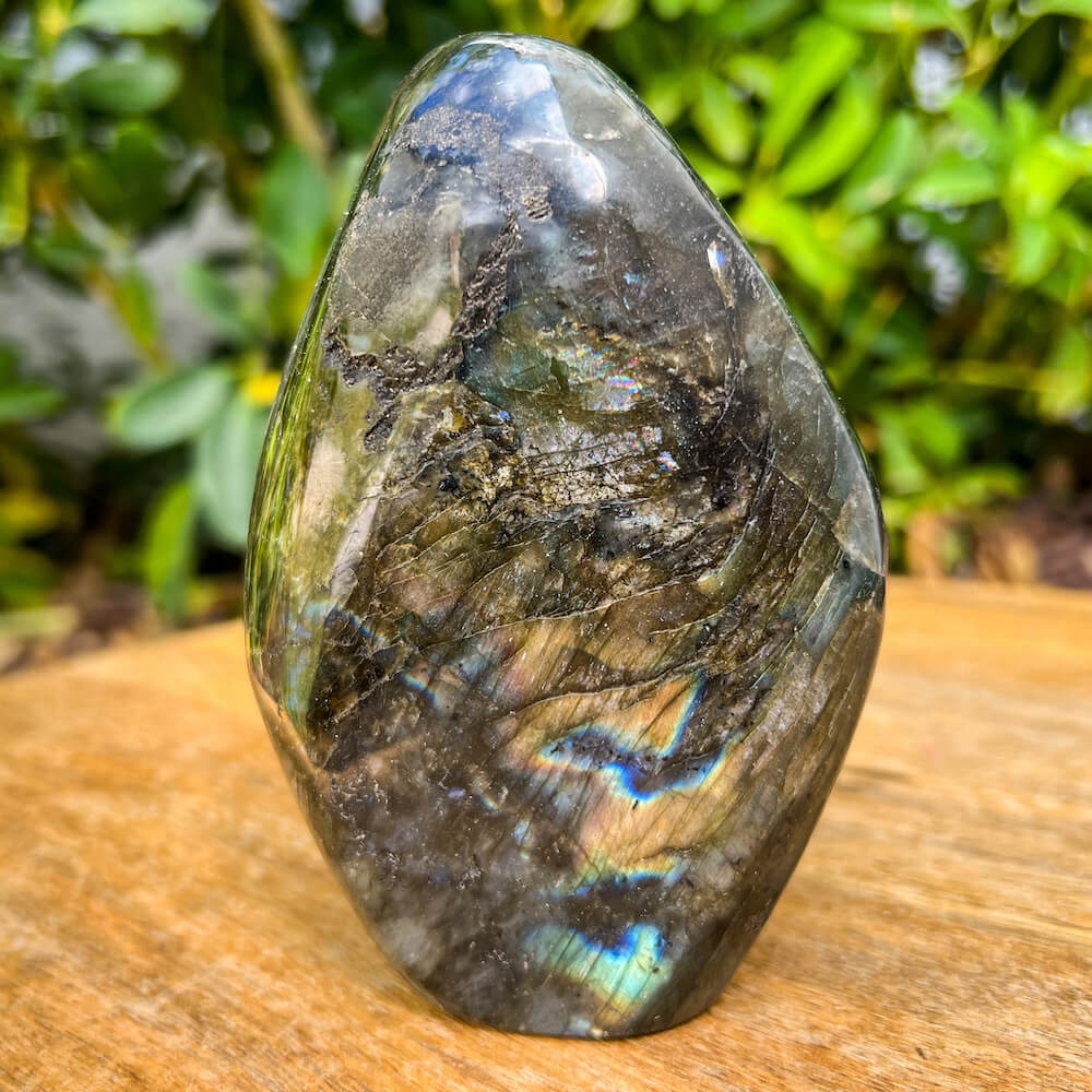 Looking for polished labradorite? Shop at Magic Crystals for Labradorite Stone Slab - Free Form Labradorite. Empathetic, supporting, and glowing with soft, pretty color, this Labradorite palm stone is a wonderful crystal gift for someone you love.  FREE SHIPPING AVAILABLE. Labradorite-Freeform-C