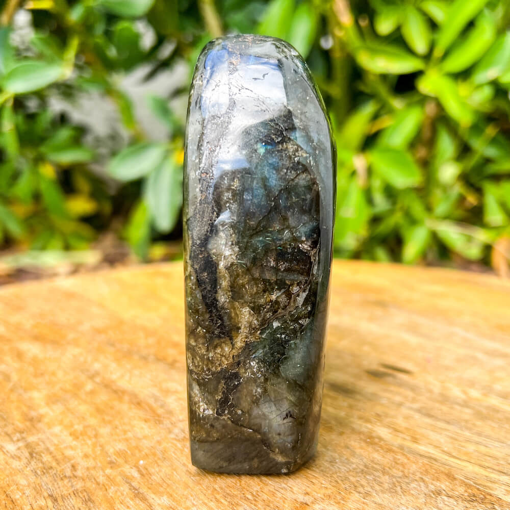 Looking for polished labradorite? Shop at Magic Crystals for Labradorite Stone Slab - Free Form Labradorite. Empathetic, supporting, and glowing with soft, pretty color, this Labradorite palm stone is a wonderful crystal gift for someone you love.  FREE SHIPPING AVAILABLE. Labradorite-Freeform-F