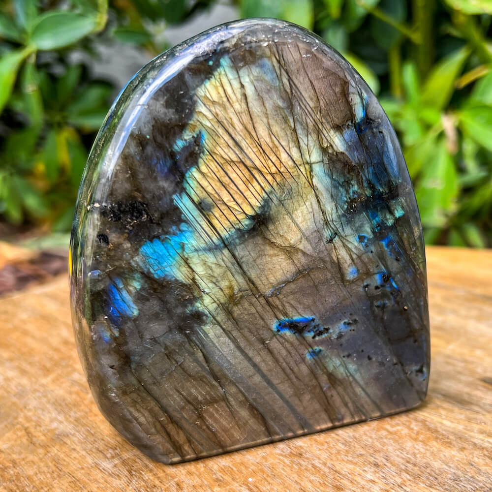 Looking for polished labradorite? Shop at Magic Crystals for Labradorite Stone Slab - Free Form Labradorite. Empathetic, supporting, and glowing with soft, pretty color, this Labradorite palm stone is a wonderful crystal gift for someone you love.  FREE SHIPPING AVAILABLE. Labradorite-Freeform-F
