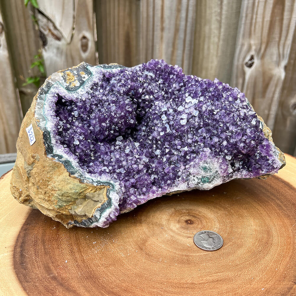 Buy Druzy Amethyst Cluster, Uruguayan Amethyst Crystal at Magic Crystals. This gemstone is a February Birthstone perfect for Third Eye Chakra and Crown. This gemstone helps for Anxiety, Spirituality, and Wisdom. Gifts at Magic Crystals. Natural Amethyst offers FREE SHIPPING and the best quality gemstones. 