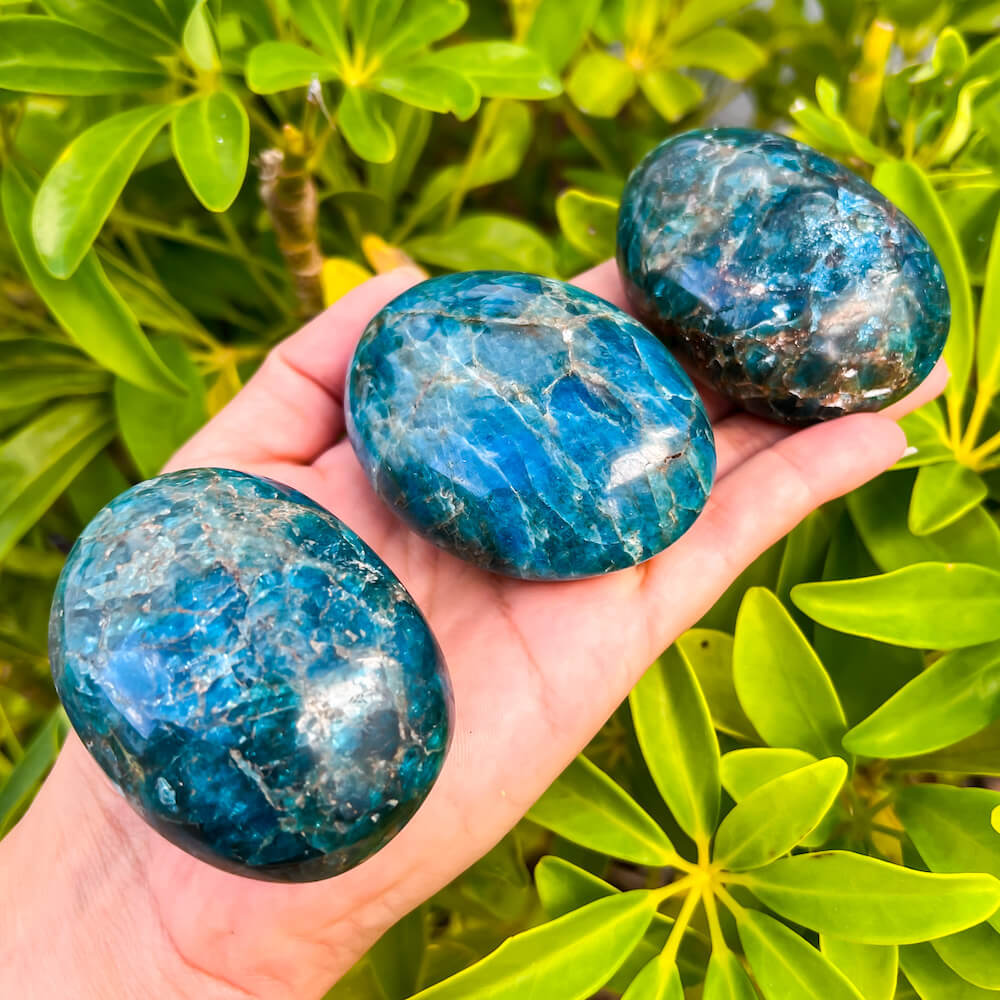 Madagascan Blue Apatite Palm Stone