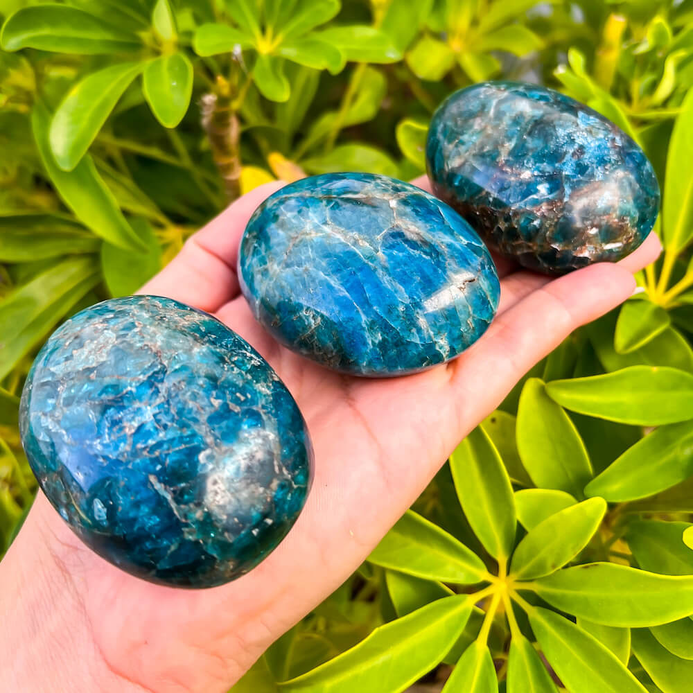 Madagascan Blue Apatite Palm Stone