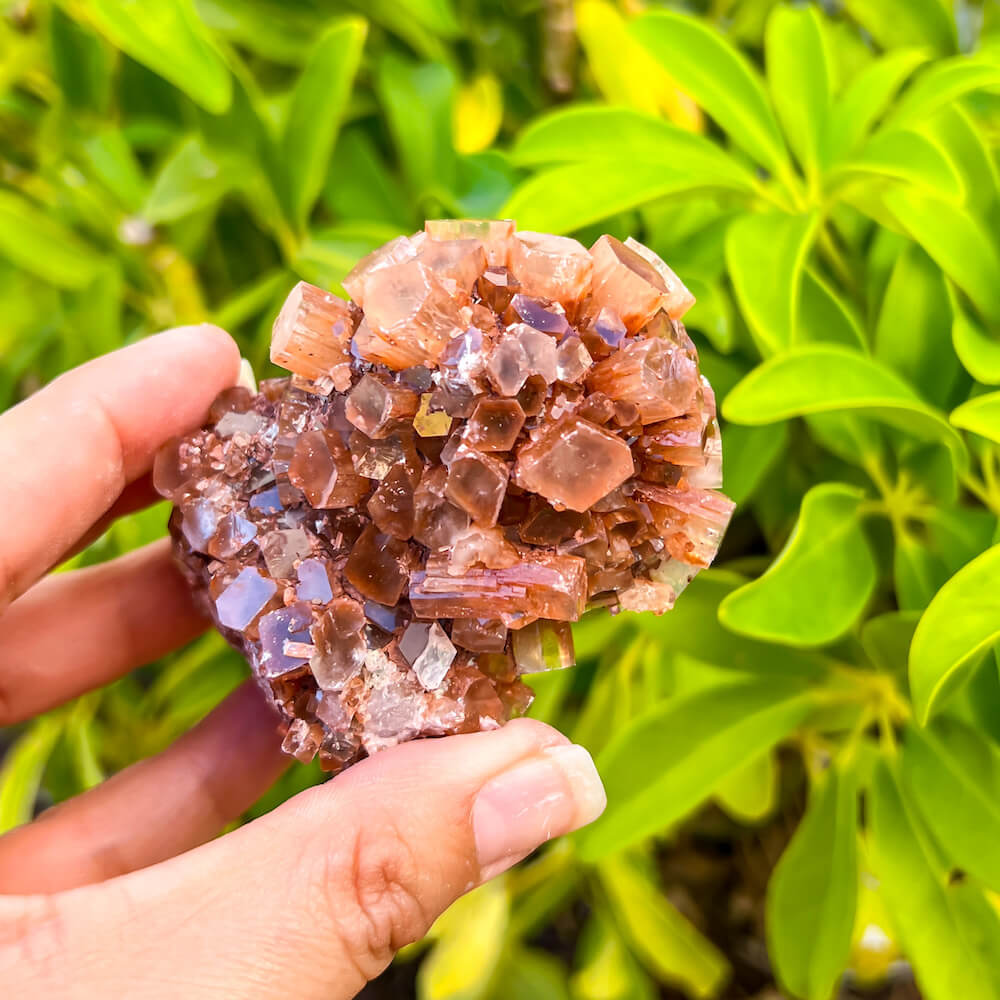 Looking for ARAGONITE Star Cluster? Perfect for all chakras, especially Root Chakra. Crystal Healing, Aragonite Crystal, Raw Cluster. Aragonite Star Cluster Crystals Stones from Morocco, High Grade A Quality, Raw aragonite cluster, geode, aragonite at Magic Crystals with FREE SHIPPING AVAILABLE. Large-Aragonite-Star-Cluster