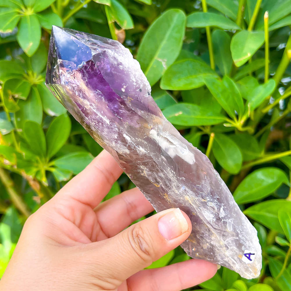 Buy at Magic Crystals Large Dragons Tooth Amethyst Crystals - Amethyst dog tooth. Bahia Amethyst AA Quality, Dragon's Tooth Amethyst, Brazilian Amethyst Wand, . Mineral specimen , Polished rock. Amethyst Bahia Root Elestial Dragon Tooth Wand. Natural Amethyst Gemstone for PEACE, INSPIRATION. Large-Brazilian-Bahia-tooth-A
