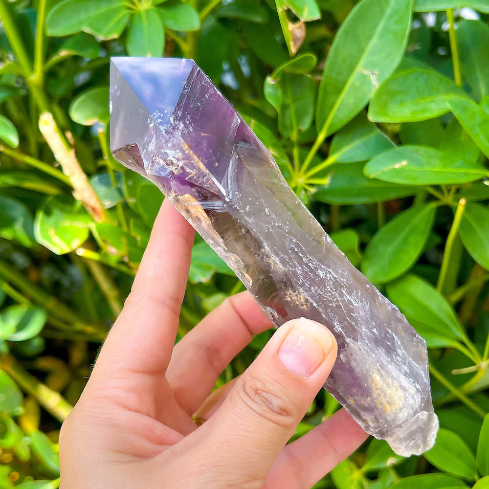 Buy at Magic Crystals Large Dragons Tooth Amethyst Crystals - Amethyst dog tooth. Bahia Amethyst AA Quality, Dragon's Tooth Amethyst, Brazilian Amethyst Wand, . Mineral specimen , Polished rock. Amethyst Bahia Root Elestial Dragon Tooth Wand. Natural Amethyst Gemstone for PEACE, INSPIRATION. Large-Brazilian-Bahia-tooth-A