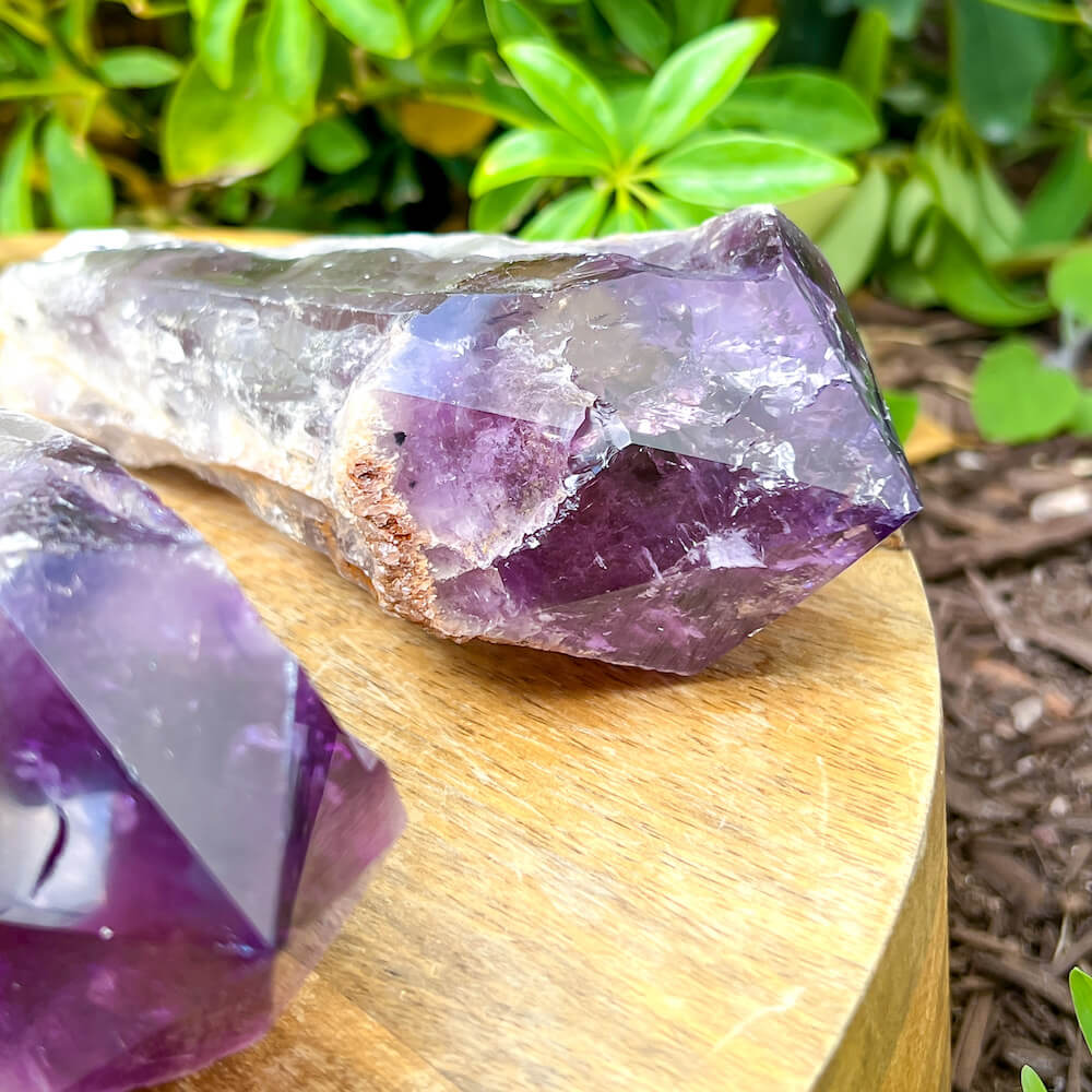 Buy at Magic Crystals Large Dragons Tooth Amethyst Crystals - Amethyst dog tooth. Bahia Amethyst AA Quality, Dragon's Tooth Amethyst, Brazilian Amethyst Wand, . Mineral specimen , Polished rock. Amethyst Bahia Root Elestial Dragon Tooth Wand. Natural Amethyst Gemstone for PEACE, INSPIRATION.