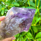 Buy at Magic Crystals Large Dragons Tooth Amethyst Crystals - Amethyst dog tooth. Bahia Amethyst AA Quality, Dragon's Tooth Amethyst, Brazilian Amethyst Wand, . Mineral specimen , Polished rock. Amethyst Bahia Root Elestial Dragon Tooth Wand. Natural Amethyst Gemstone for PEACE, INSPIRATION. Large-Brazilian-Bahia-tooth-E
