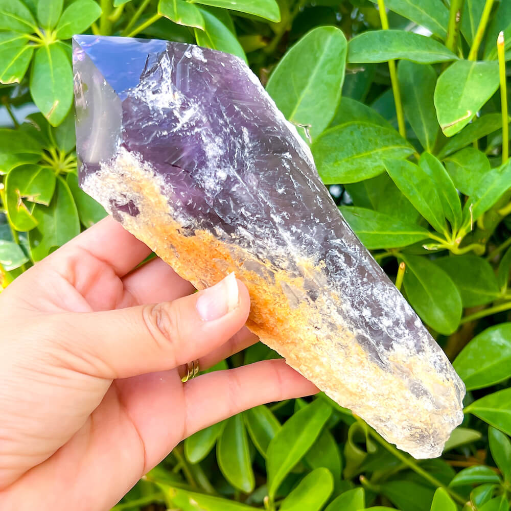 Buy at Magic Crystals Large Dragons Tooth Amethyst Crystals - Amethyst dog tooth. Bahia Amethyst AA Quality, Dragon's Tooth Amethyst, Brazilian Amethyst Wand, . Mineral specimen , Polished rock. Amethyst Bahia Root Elestial Dragon Tooth Wand. Natural Amethyst Gemstone for PEACE, INSPIRATION. Large-Brazilian-Bahia-tooth-B