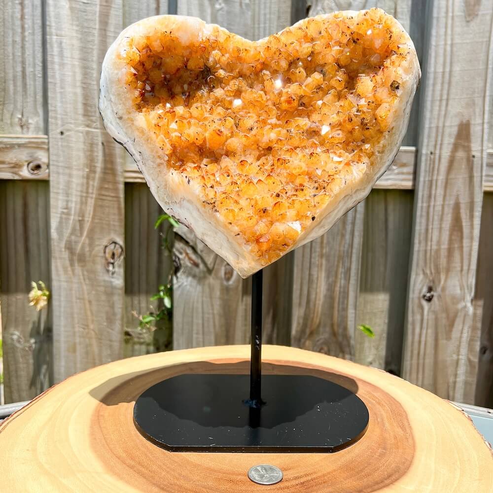 Looking for a 12.8 lbs - Beautiful Large Druzy Heated Citrine Heart on a stand - #14? Shop at Magic Crystals for Citrine Druzy Cluster, Raw Citrine Cluster, Citrine Crystal cluster, Citrine Crystal, Large Citrine Cluster. Citrine is a stone of manifestation, imagination, and personal will for Home Decor