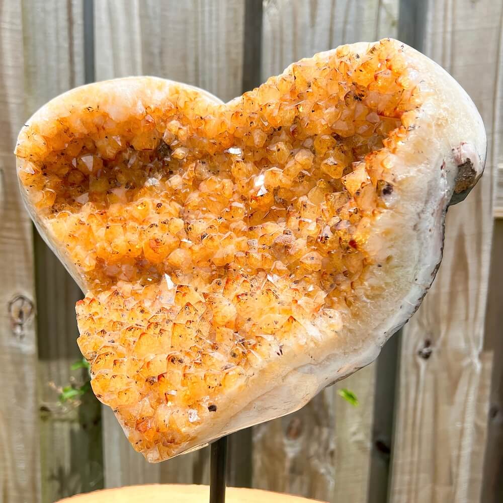 Looking for a Large Druzy Heated Citrine Heart on a stand - #14? Shop at Magic Crystals for Citrine Druzy Cluster, Raw Citrine Cluster, Citrine Crystal cluster, Citrine Crystal, Large Citrine Cluster. FREE SHIPPING available. Citrine is a stone of manifestation, imagination, and personal will for Home Decor.