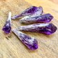 Buy at Magic Crystals Large Dragons Tooth Amethyst Crystals - Amethyst dog tooth. Natural Raw Amethyst Point, Healing Crystal, Meditation and Healing Tool. Natural Amethyst Gemstone for PROTECTION, PEACE, INSPIRATION. Amethyst is a stone that has been known to help with meditation.