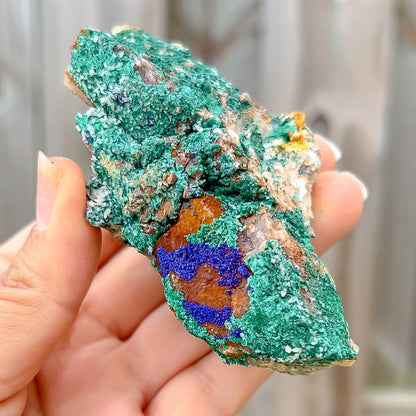 Malachite with Azurite Specimens