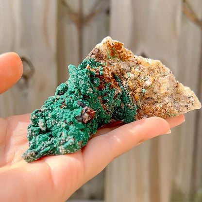 Malachite with Azurite Specimens