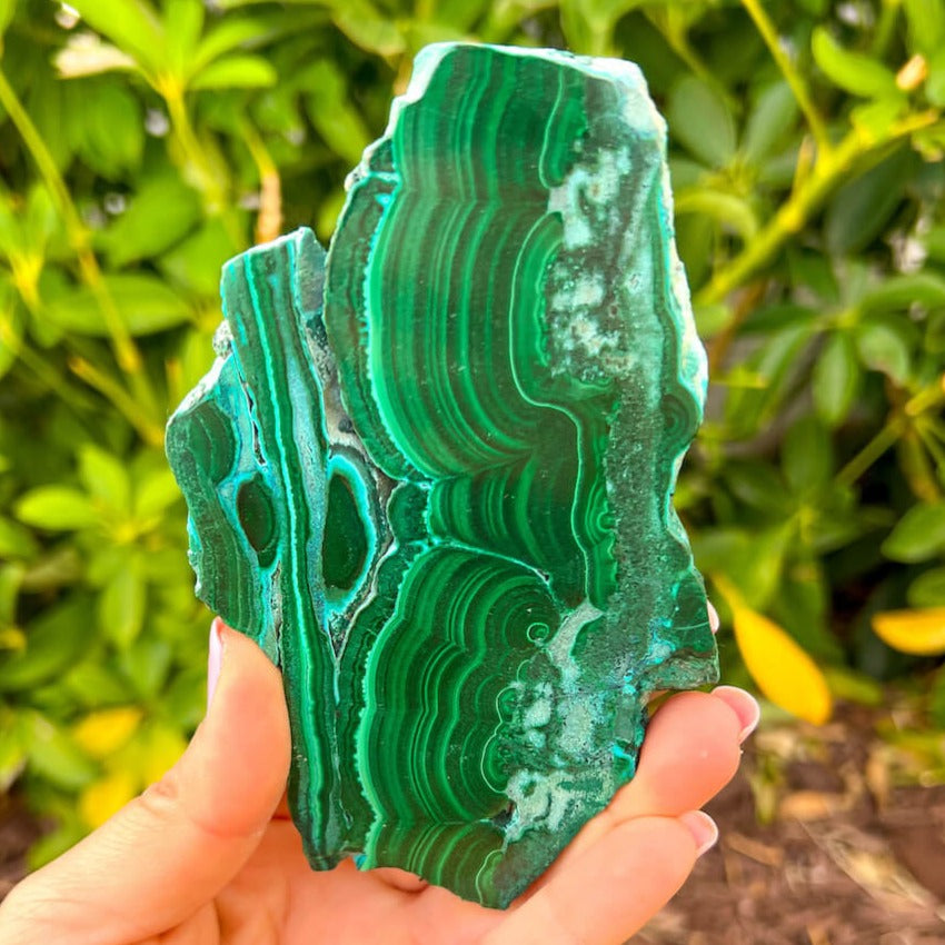 Looking for Malachite Chrysocolla Freeform - Freeform Malachite? Shop at Magic Crystals for Malachite Chrysocolla Freeform, Polished Malachite, Freeform Malachite, Tumbled Stone, Chrysocolla, Africa, Green Crystal, Cutbase, Blue from Peru, Natural Stone Beautiful Quality Polished Malachite, Chrysocolla Gemstone. Malachite-Chrysocolla-Freeform-Slab-E