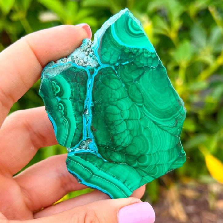 Looking for Malachite Chrysocolla Freeform - Freeform Malachite? Shop at Magic Crystals for Malachite Chrysocolla Freeform, Polished Malachite, Freeform Malachite, Tumbled Stone, Chrysocolla, Africa, Green Crystal, Cutbase, Blue from Peru, Natural Stone Beautiful Quality Polished Malachite, Chrysocolla Gemstone. Malachite-Chrysocolla-Freeform-Slab-c