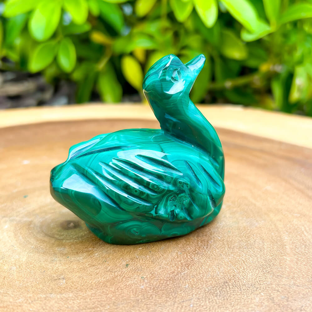 Genuine Malachite. Shop at Magic Crystals for Genuine Malachite Duck - Natural Malachite Duck Carving from Congo. Malachite Animal, Gifts for Her, Gifts for Him, Crystal Gemstones, Home Decor. FREE SHIPPING AVAILABLE. Hand Carved Malachite Stone Duck, Home Decor, Crystal Healing, Mineral Specimen.
