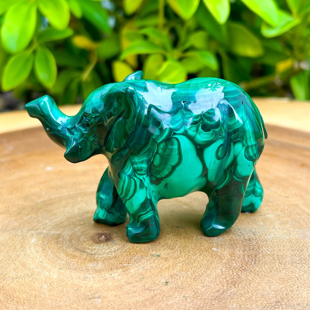 Genuine Malachite #B. Shop at Magic Crystals for Genuine Malachite Elephant - Natural Malachite Elephant Carving from Congo. Malachite Animal, Gifts for Her, Gifts for Him, Crystal Gemstones, Home Decor. FREE SHIPPING AVAILABLE. Hand Carved Malachite Stone Elephant, Home Decor, Crystal Healing, Mineral Specimen. 