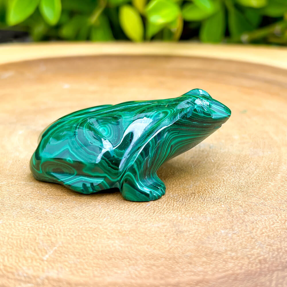 Genuine Malachite. Shop at Magic Crystals for Genuine Malachite Frog - Natural Malachite Frog Carving from Congo. Malachite Animal, Gifts for Her, Gifts for Him, Crystal Gemstones, Home Decor. FREE SHIPPING AVAILABLE. Hand Carved Malachite Stone Frog, Home Decor, Crystal Healing, Mineral Specimen