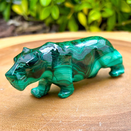 Genuine Malachite. Shop at Magic Crystals for Genuine Malachite Leopard Leopard  - Natural Malachite Leopard Carving from Congo. Malachite Animal, Gifts for Her, Gifts for Him, Crystal Gemstones, Home Decor. FREE SHIPPING AVAILABLE. Hand Carved Malachite Stone Cougar Leopard, Home Decor, Crystal Healing.