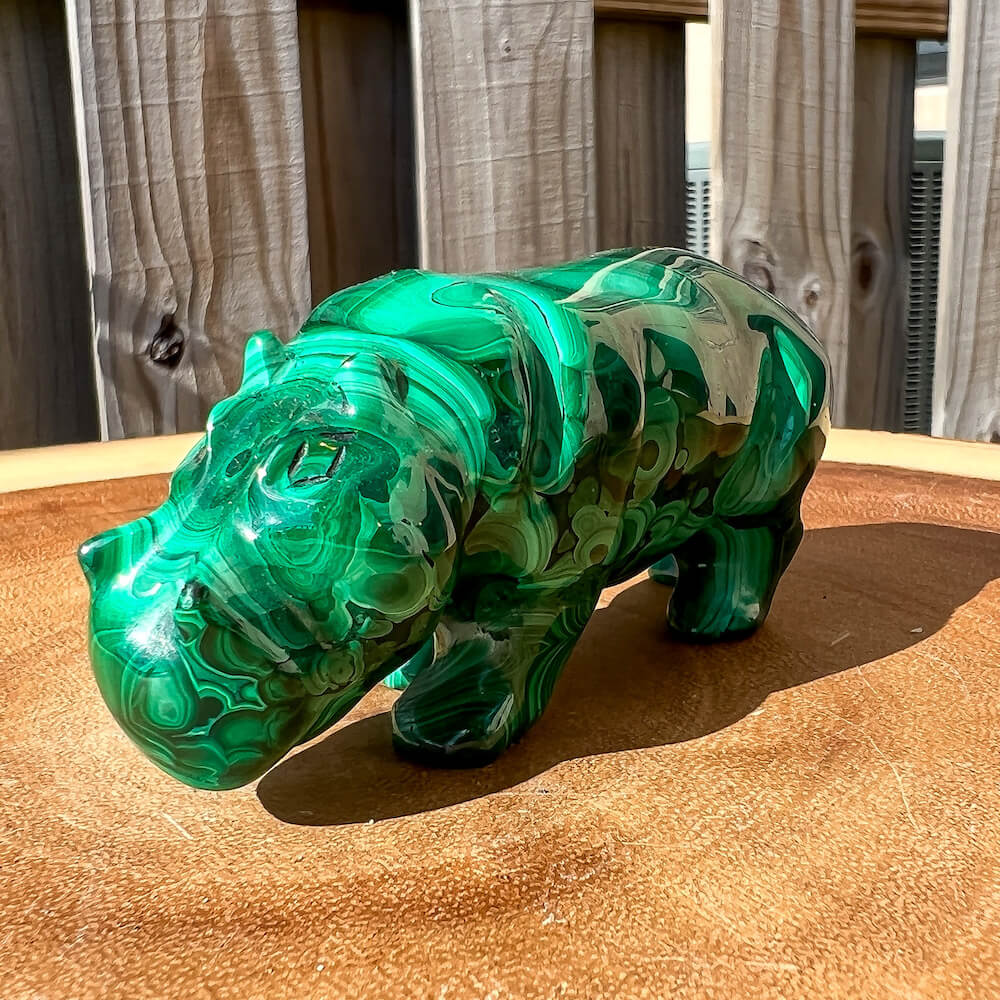 Genuine Malachite. Shop at Magic Crystals for Small Genuine Malachite Hippo - Natural Malachite Hippo Carving from Congo. Malachite Animal, Gifts for Her, Gifts for Him, Crystal Gemstones, Home Decor. FREE SHIPPING AVAILABLE. Hand Carved Malachite Stone Hippo, Home Decor, Crystal Healing, Mineral Specimen #1.