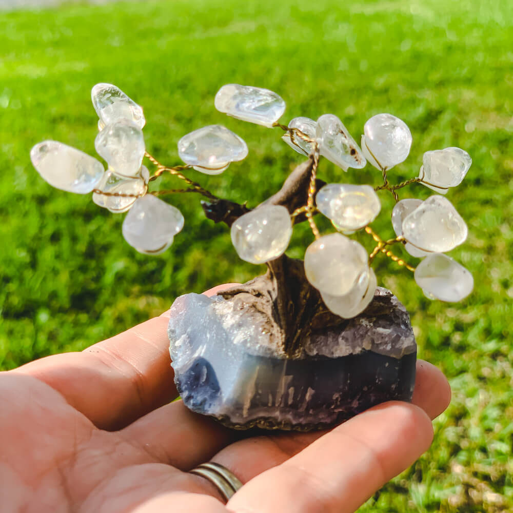Buy Raw Mini Clear Quartz Bonsai Tree on Amethyst Cluster in Magic Crystals. Green Aventurine is great for Programmability, amplification of one's intention, magnification of energies, clearing, cleansing, and healing. Magic Crystals has a variety of HOME DECOR made of crystals and gemstones. Birthstone tree sculpture.