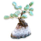 Buy Raw Mini Green Aventurine Bonsai Tree on Amethyst Cluster in Magic Crystals. Green Aventurine is great for HEALING, ABUNDANCE and GROWTH. Magic Crystals has a variety of HOME DECOR made of crystals and gemstones. Gemstone tree. Birthstone tree sculpture. Amethyst geode gift. FREE SHIPPING AVAILABLE.