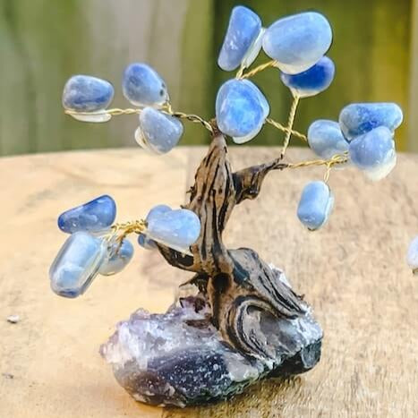 Buy Raw Mini Sodalite Bonsai Tree on Amethyst Cluster in Magic Crystals. Sodalite brings order and calmness to the mind. Magic Crystals has a variety of HOME DECOR made of crystals and gemstones. Birthstone tree sculpture FREE SHIPPING available.