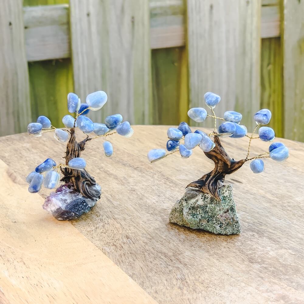 Buy Raw Mini Sodalite Bonsai Tree on Amethyst Cluster in Magic Crystals. Sodalite brings order and calmness to the mind. Magic Crystals has a variety of HOME DECOR made of crystals and gemstones. Birthstone tree sculpture FREE SHIPPING available.