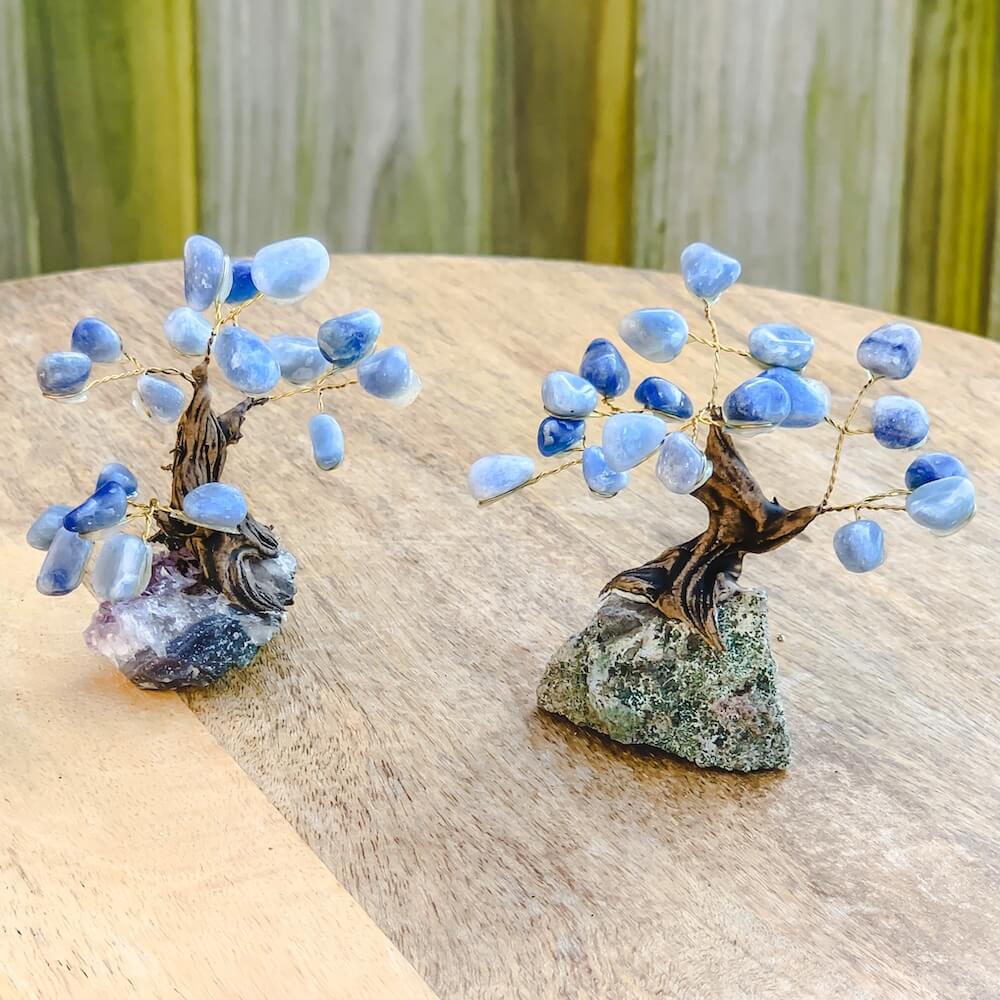 bonsai tree with crystals Mini Sodalite Bonsai Tree On Amethyst