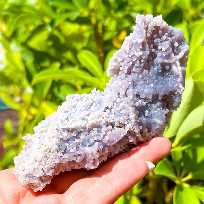 Natural Grape Agate Specimen - MagicCrystals - Natural Grape Agate cluster.  Genuine Grape Agate